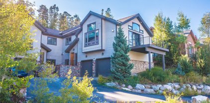 1863 Peregrine  Lane, Silverthorne