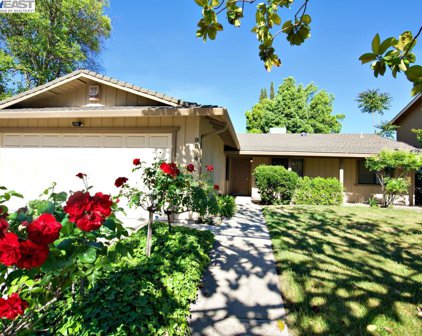 9864 Weeping Willow Drive, Stockton
