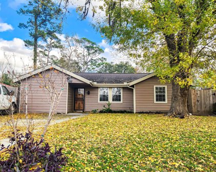 9238 Forest View Street, Houston