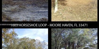 1603 Horseshoe Loop, Moore Haven