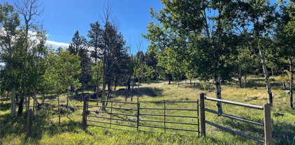 Homestake Place, Florissant