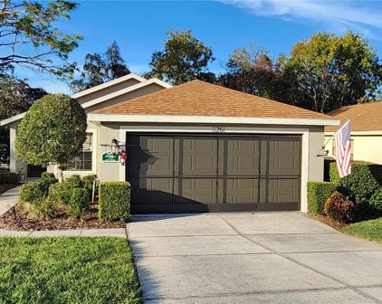 11261 Copley Court, Spring Hill
