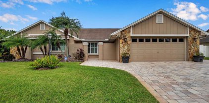 4109 Interlake Drive, Tampa