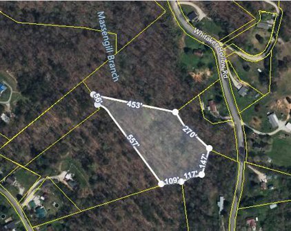 Lot 1R Whitaker Hollow Rd, Rocky Top