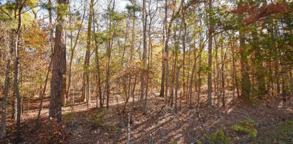 TBD Big Oak Bay Rd Tract 3, Tyler