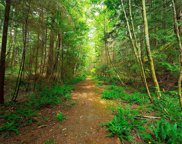 Remainder - District Lot 3042, Bowen Island image