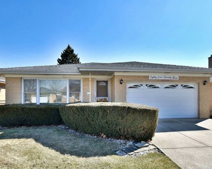 8523 N Ottawa Avenue, Niles