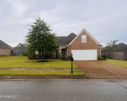 4164 Wildberry Drive, Southaven