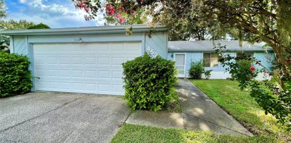452 Lakeview Drive, Oldsmar