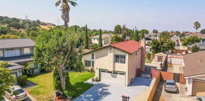 157 Thrush Ct, Hercules