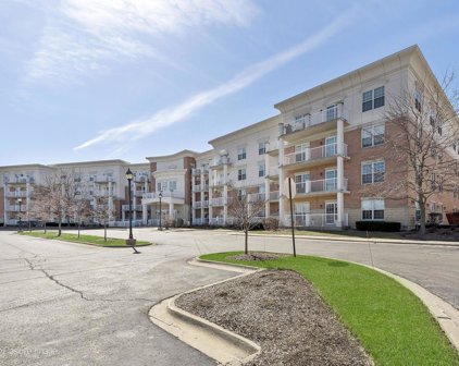 601 W Rand Road Unit #207, Arlington Heights