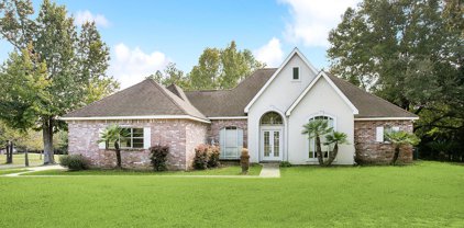 113 Meadowood Drive, Picayune