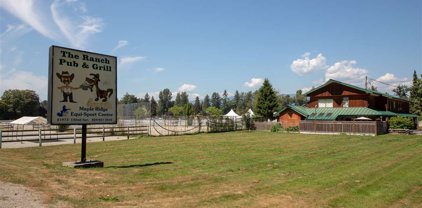 21973 132 Avenue, Maple Ridge