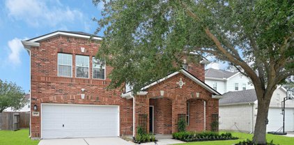 3727 Norwood Glen Lane, Friendswood