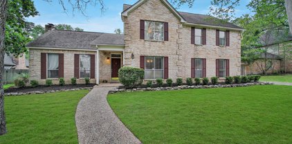 6207 Meadowtrace Drive, Spring