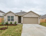 13218 Lanrin Park Lane, Houston image