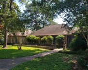 21422 Rosehill Church Road, Tomball image