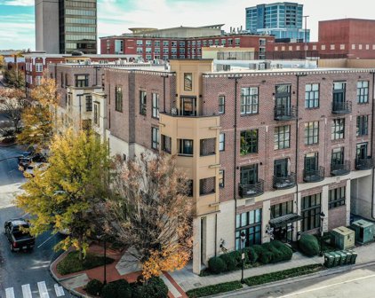 101 W Court Street Unit #226, Greenville