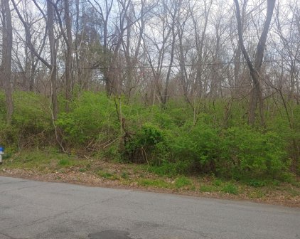 Manning Ne Rd, Roanoke
