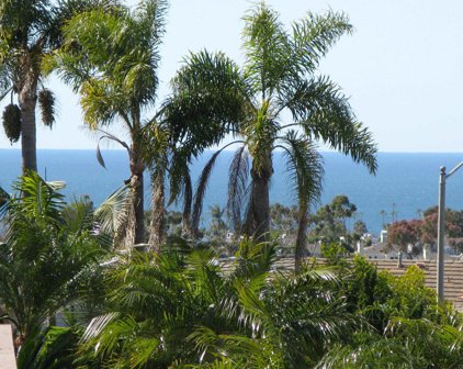1023 Daisy Ave, Carlsbad