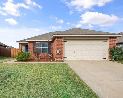 8612 Fawn Hill  Court, Fort Worth