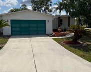 19658 Eagle Trace  Court, North Fort Myers image