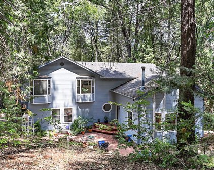 4571 Wandering Way, Camino