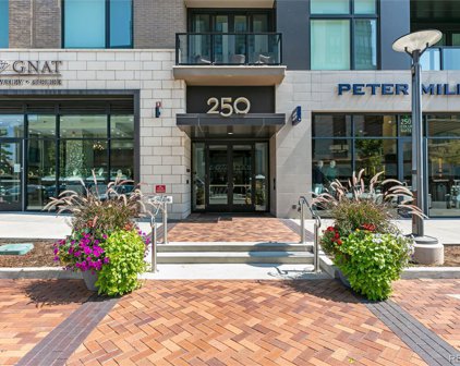250 Columbine Street Unit 702, Denver
