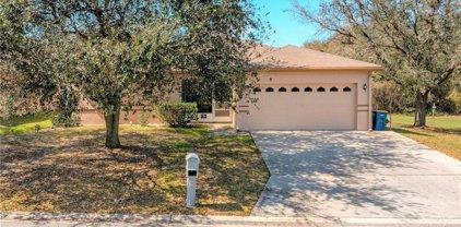 1405 Laurel Meadows Drive, Bartow
