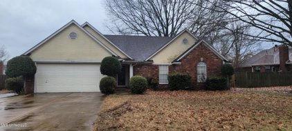 320 Red Plum Cove, Southaven