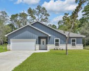 11113 Greenway Drive, Plantersville image