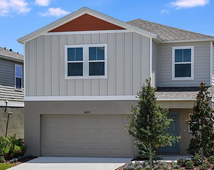 34154 Scarlet Sage Court, Wesley Chapel