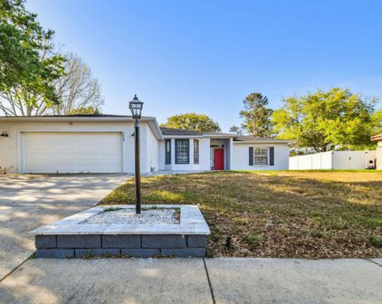 1639 Lakeside Drive, Tarpon Springs