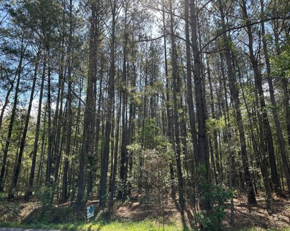 Mallard Road, Summerville
