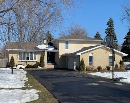 309 Skylark Drive, Bloomingdale