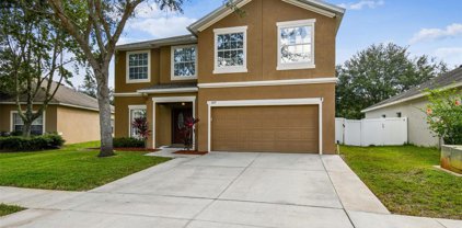 5717 White Trillium Loop, Land O' Lakes