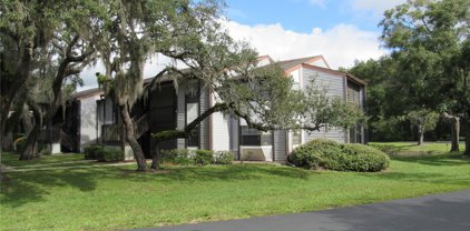 12055 Environmental Drive Unit 4, New Port Richey