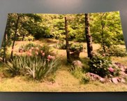 975 County Road 220, Eureka Springs image