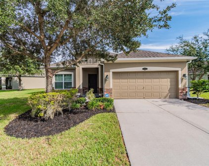10635 Pictorial Park Drive, Tampa