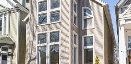 1316 W School Street, Chicago
