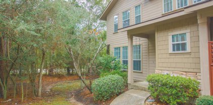 62 Woodlily Place, The Woodlands