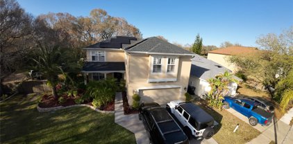 4754 Whispering Wind Avenue, Tampa