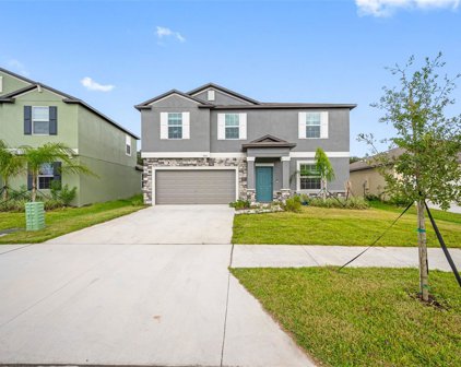 9834 Branching Ship Trace, Wesley Chapel