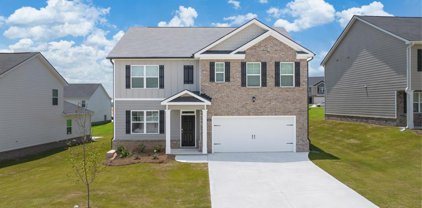 1004 Evident Point, Locust Grove