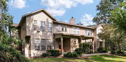36 Scarlet Woods Court, The Woodlands