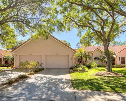 1133 Woodleaf Court, Palm Harbor