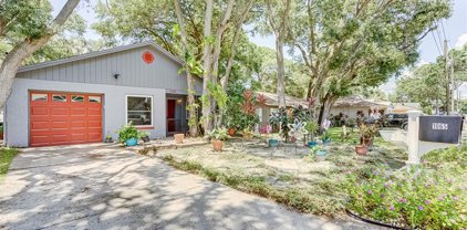 1065 Withlacoochee Street, Safety Harbor