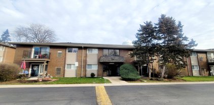 4425 Blackhawk Lane Unit #101, Lisle