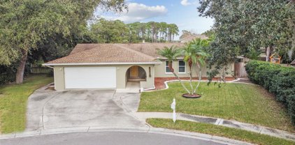 14263 Puffin Court, Clearwater