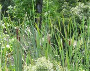 TBD 6 Robinson Creek Road, Coldspring image